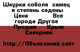 Шкурки соболя (самец) 1-я степень седены › Цена ­ 12 000 - Все города Другое » Продам   . Крым,Северная